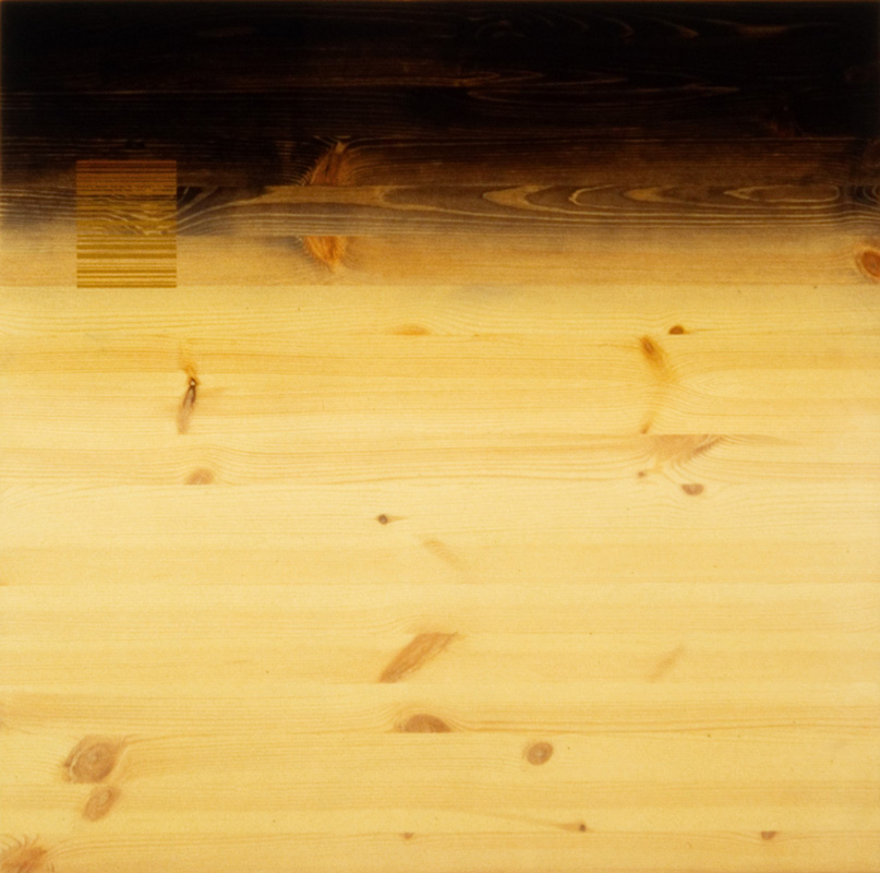 Ilppo Alho, 2001 — Code 01-S5-A3 — alkydiv�ri ja pigmentti puulle — 70 x 72 (cm)