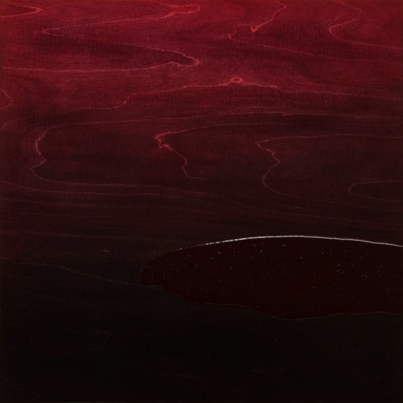 Ilppo Alho, 2004 — Tipperne 2 — akryyli- ja alkydiv�ri puulle — 65 x 65 (cm)