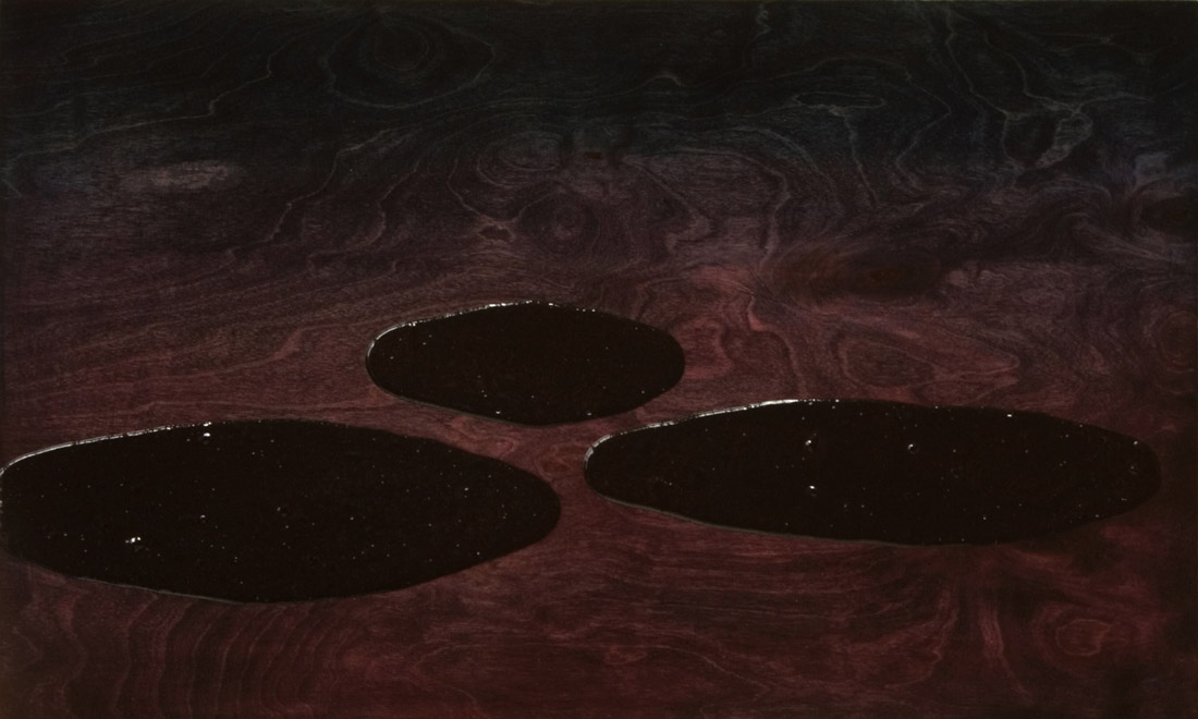 Ilppo Alho, 2004 — Tipperne 6 — akryyli- ja alkydiv�ri puulle — 39 x 65 (cm)